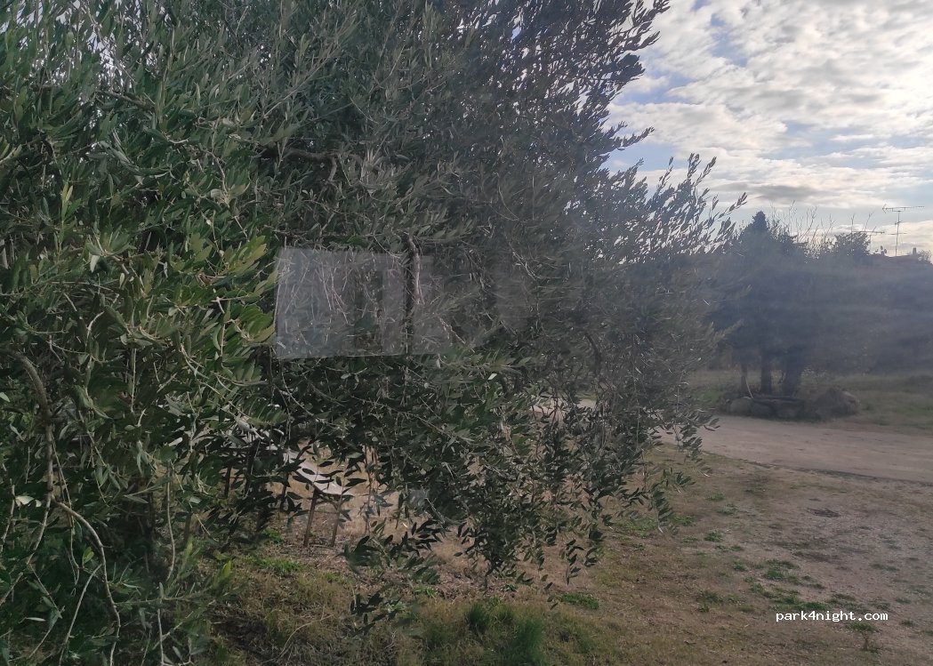 Area Sosta Camper L'uliveto — foto 2