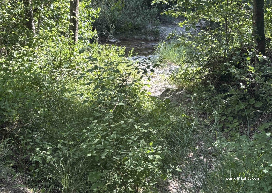 (04290) Salignac - — foto