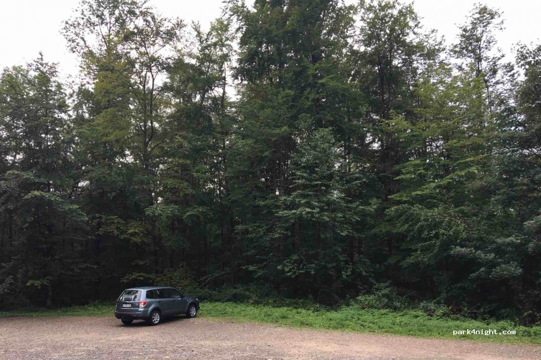 (79618) Rheinfelden (Baden) - Unnamed Road — foto