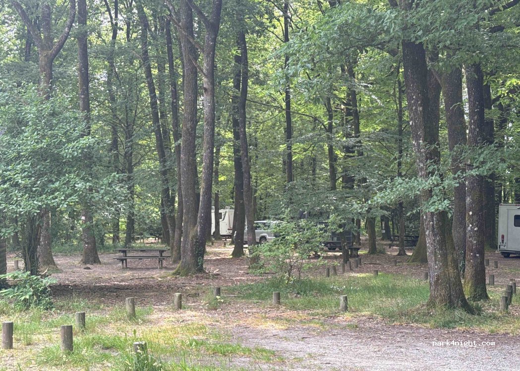 (85200) Pissotte - Unnamed road — foto
