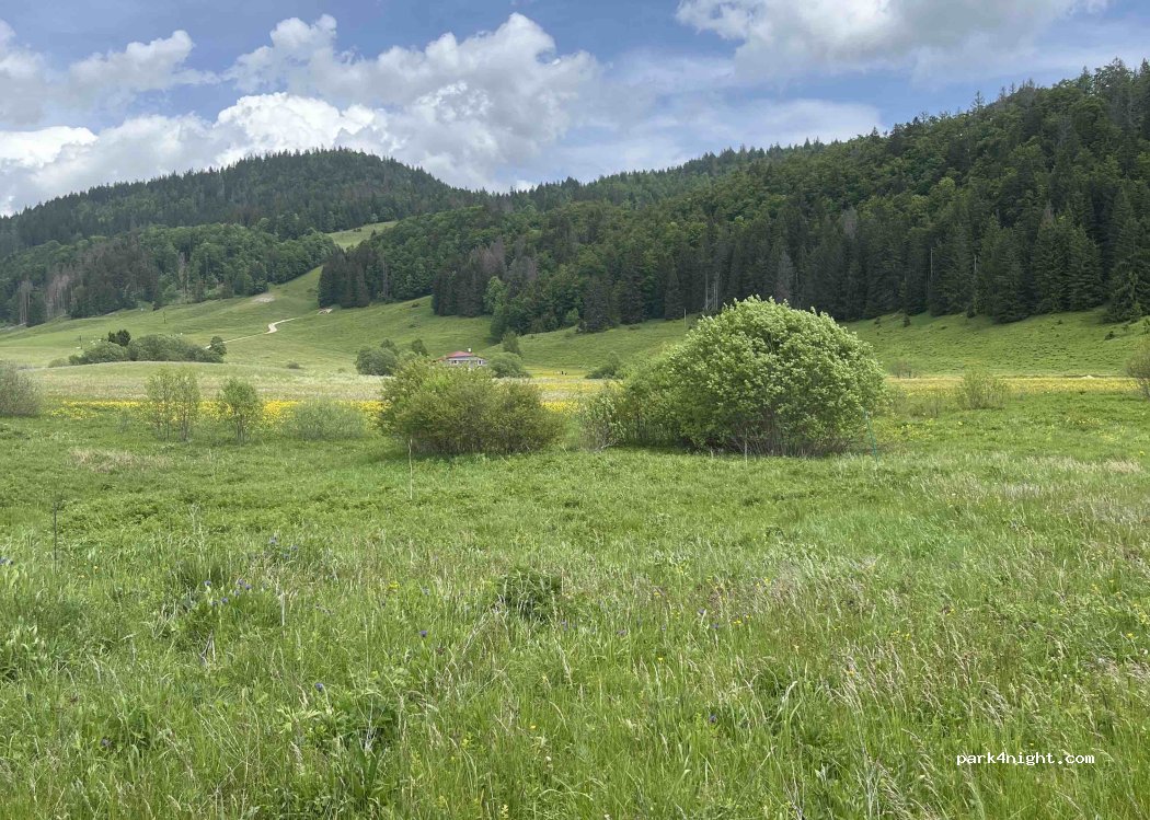 (39310) Lamoura - 3 Chemin Michaud — foto