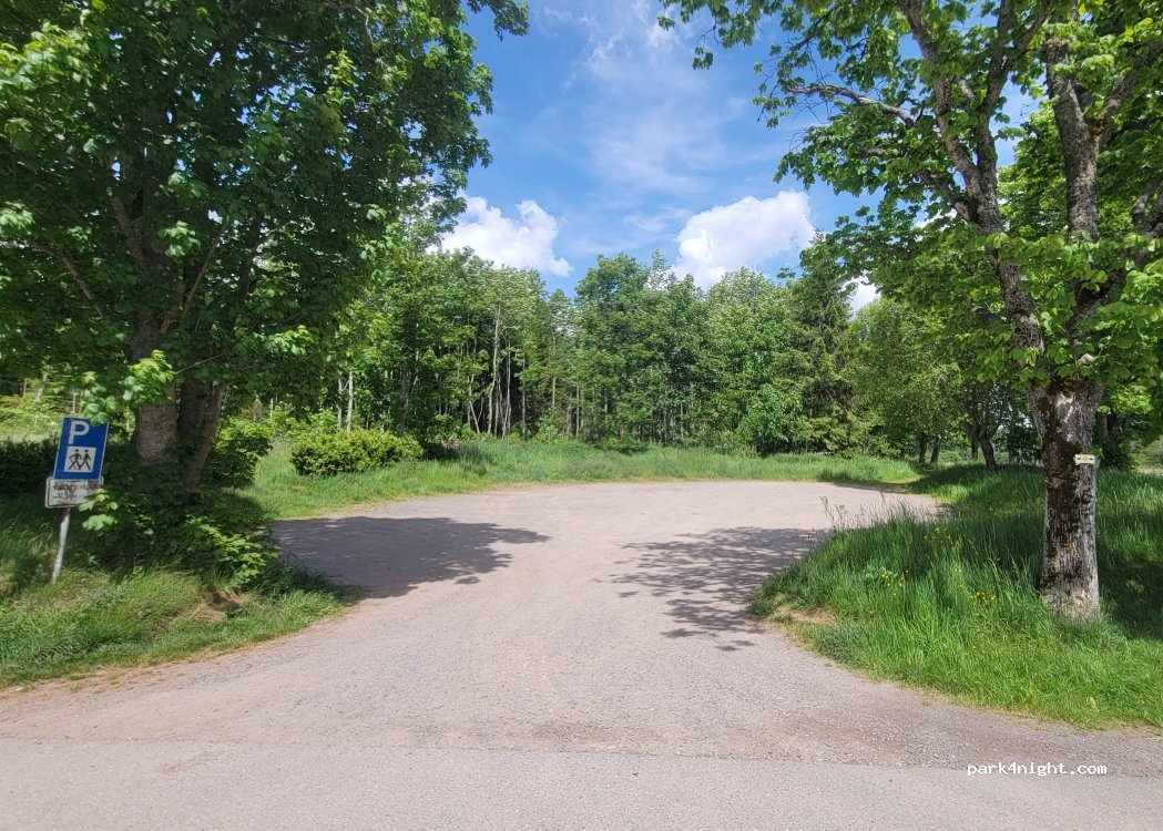 (79877) Friedenweiler - Unnamed road — foto
