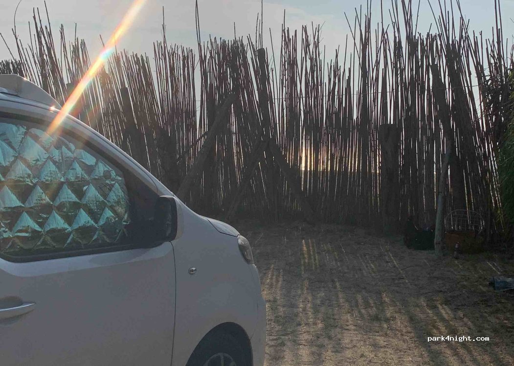 Camping la Ginestra *** — foto 3
