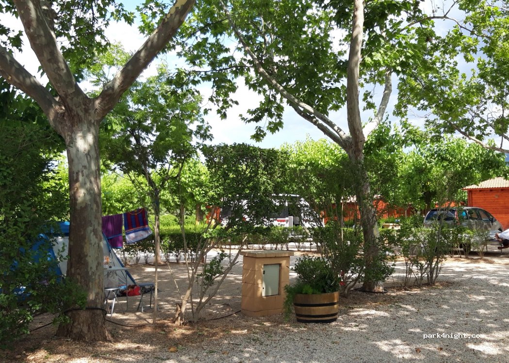 Càmping Els Ports — foto 2