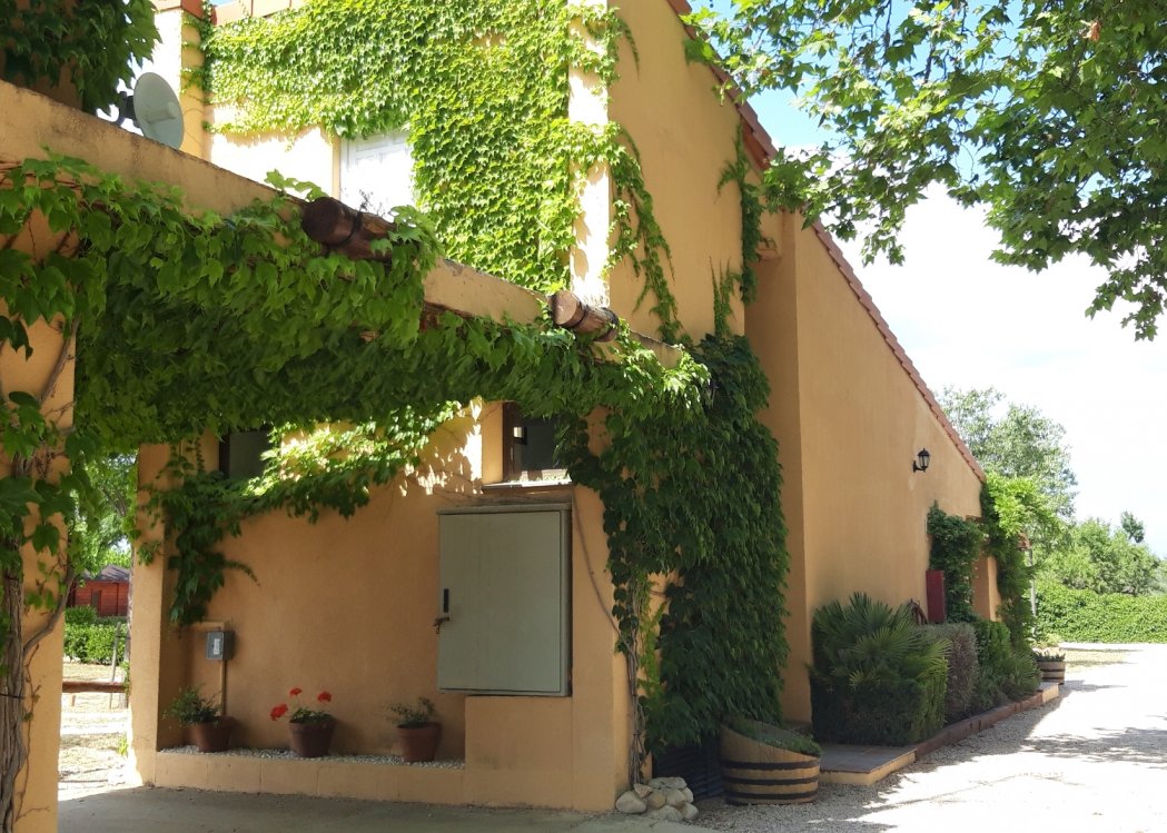 Càmping Els Ports — foto 3