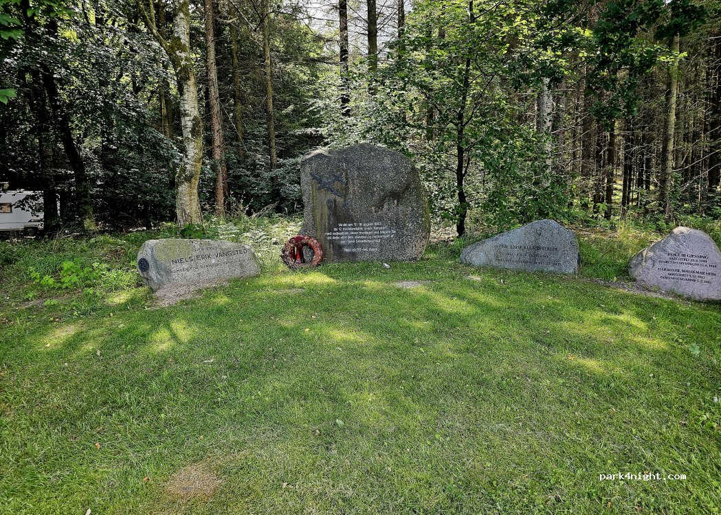 (9520) Skørping - 58 Buderupholmvej — foto 2