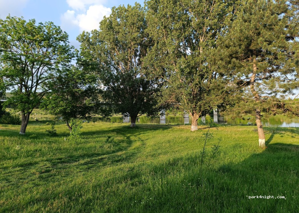 () Sănătăuca - R19 — foto