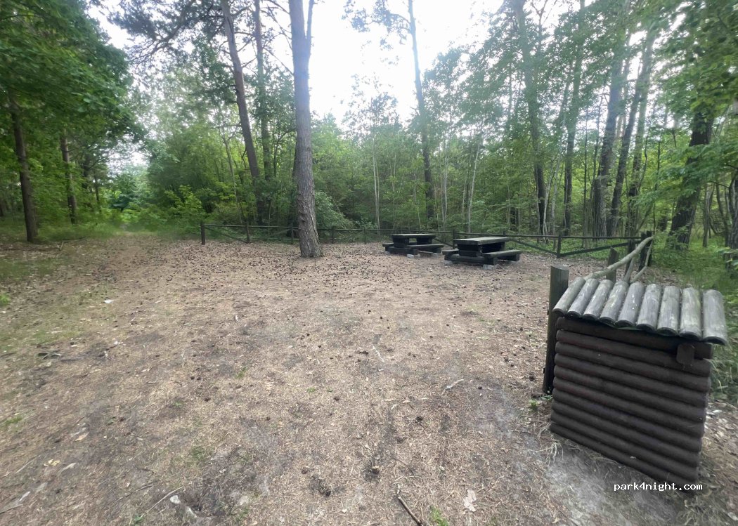 (66-415) Chwalęcice - 321 Leśna — foto