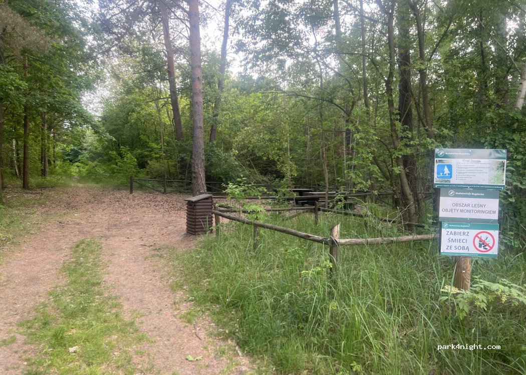 (66-415) Chwalęcice - 321 Leśna — foto 2