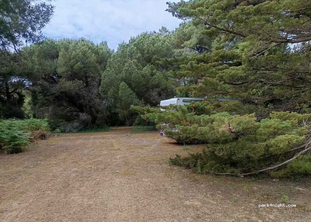 (17580) Le Bois-Plage-en-Ré - Essards des Caillees — foto