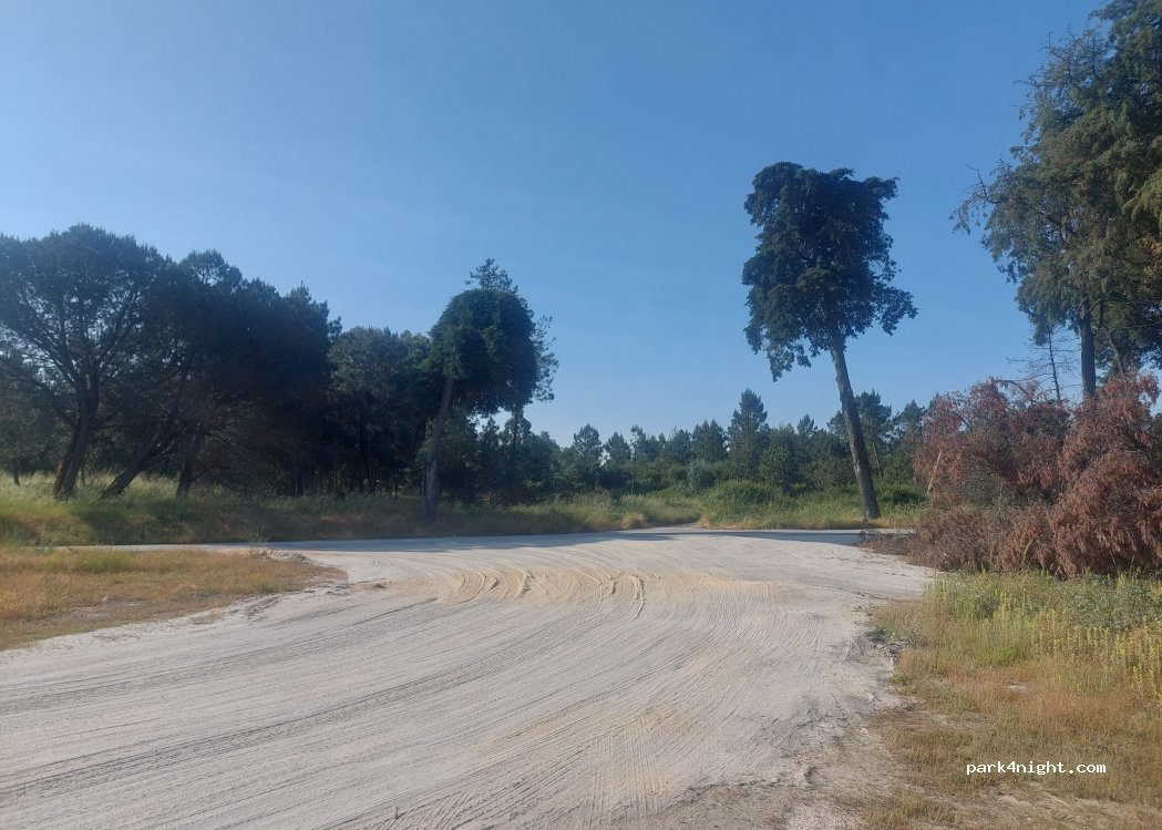 (3530) Chãs de Tavares - R da Liberdade — foto 3