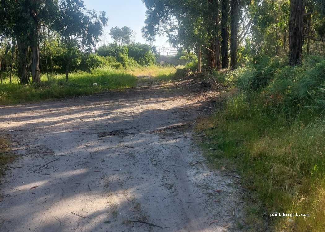 (3530) Chãs de Tavares - R da Liberdade — foto 4