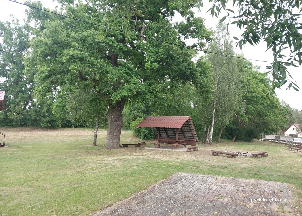 (66-439) Kołczyn - 37 Leśna — foto