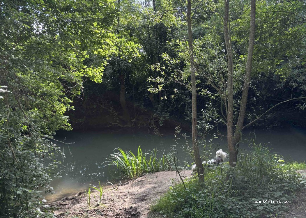 (37130) Langeais - 65 Rte des Liziers — foto 3