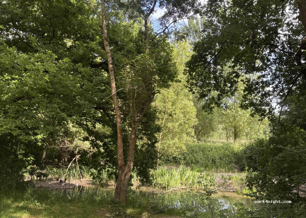 (37130) Langeais - 65 Rte des Liziers — foto 4