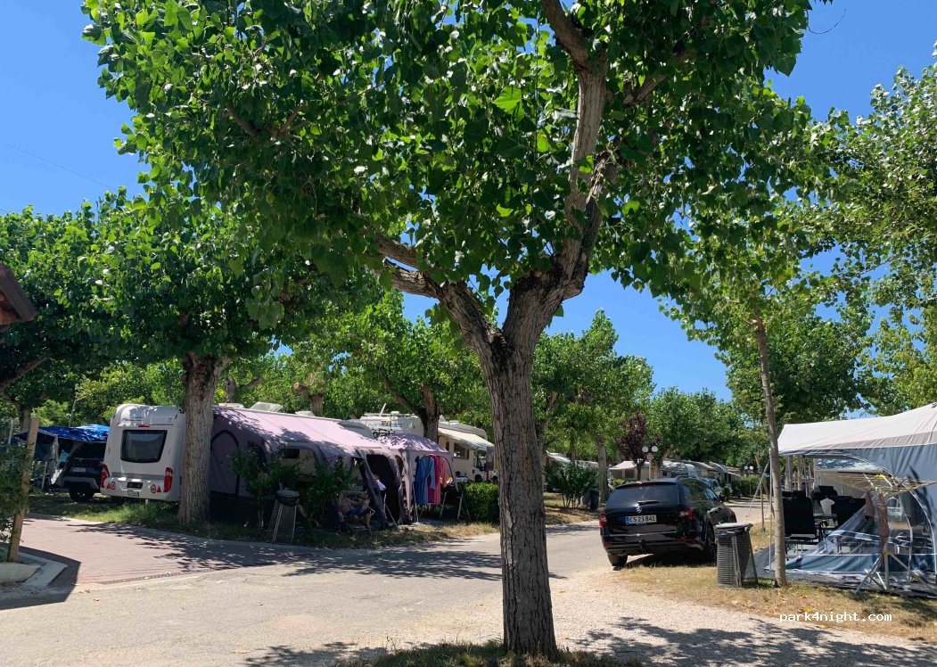 Camping Riccione S.r.l. — foto 4