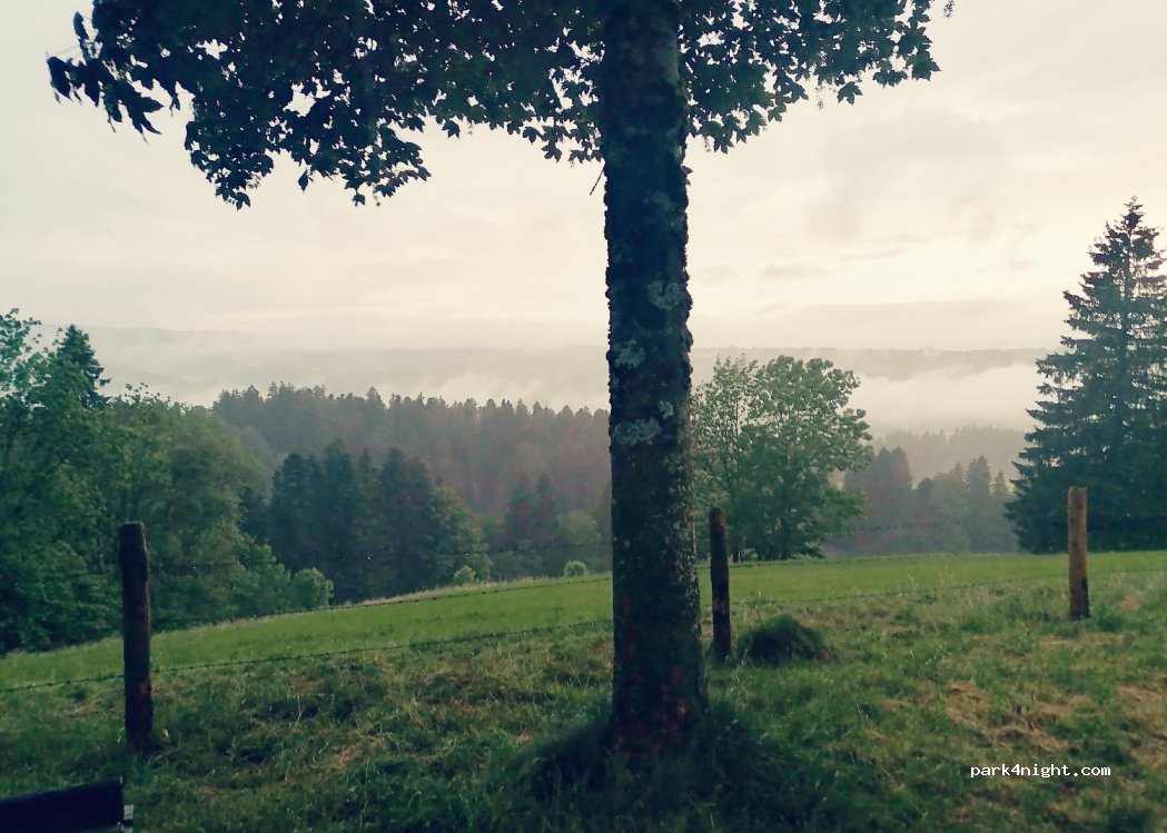 (88) Weiler-Simmerberg - 308 — foto