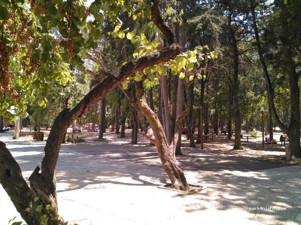 (1500) Lisboa - 1 Vila Guiné — foto 2