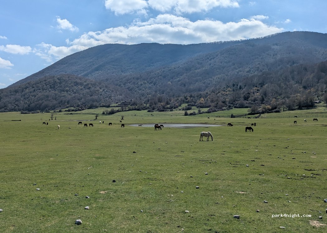 (00037) Segni - Unnamed road — foto
