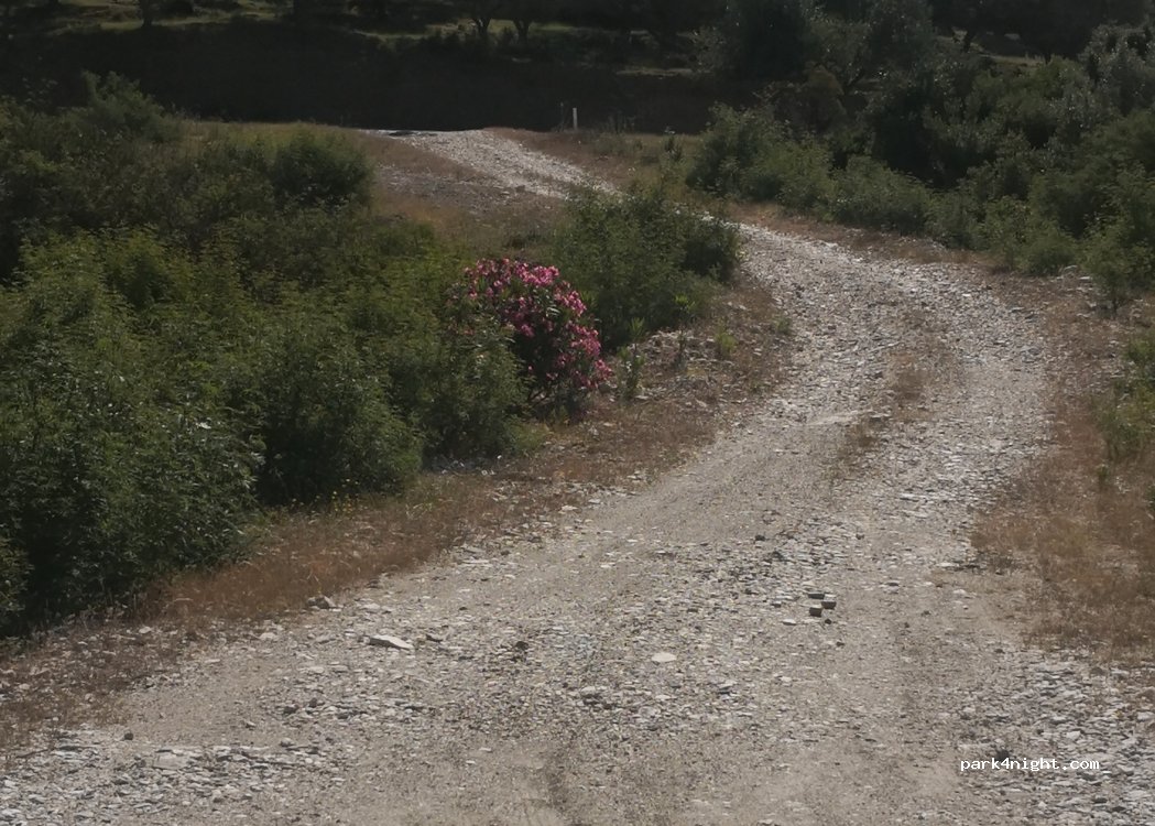(9425) Kudhës - — foto