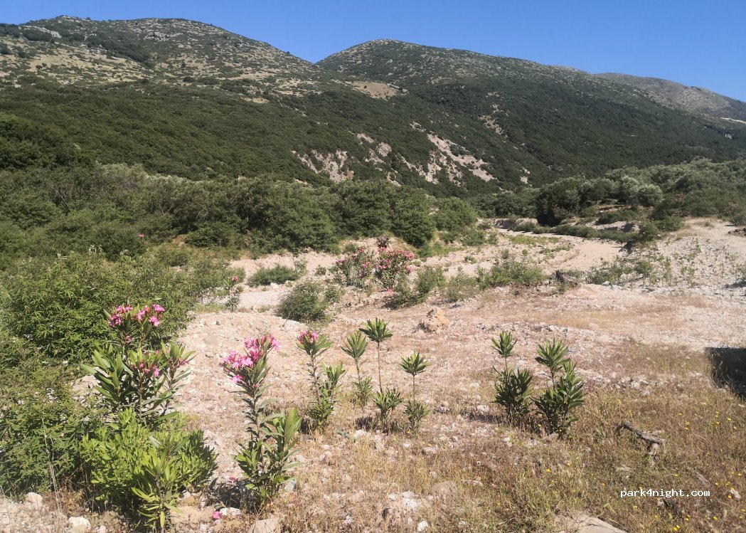 (9425) Kudhës - — foto 2