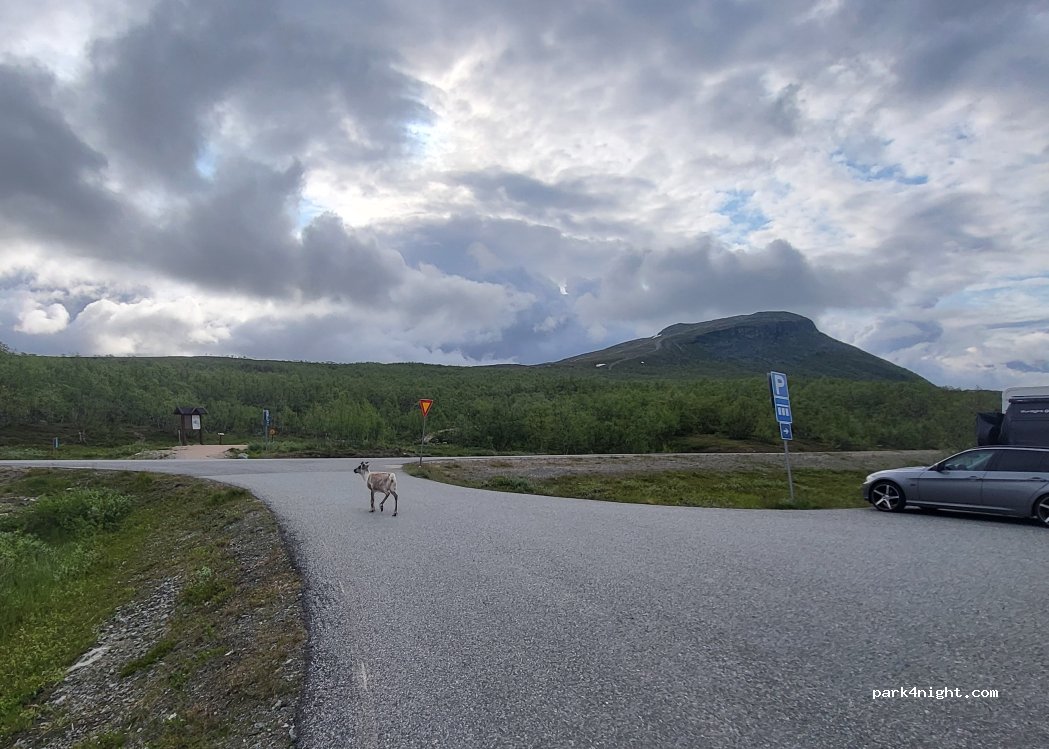 (99490) Enontekiö - 14852 Käsivarrentie — foto 4