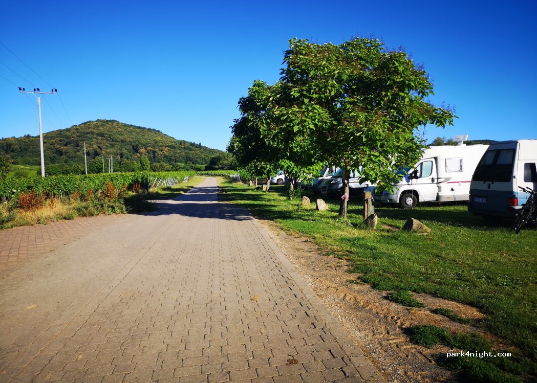 Weingut Erlenwein — foto