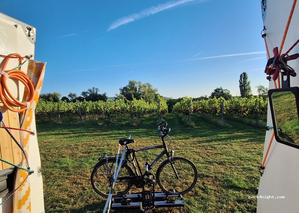 Weingut Erlenwein — foto 5