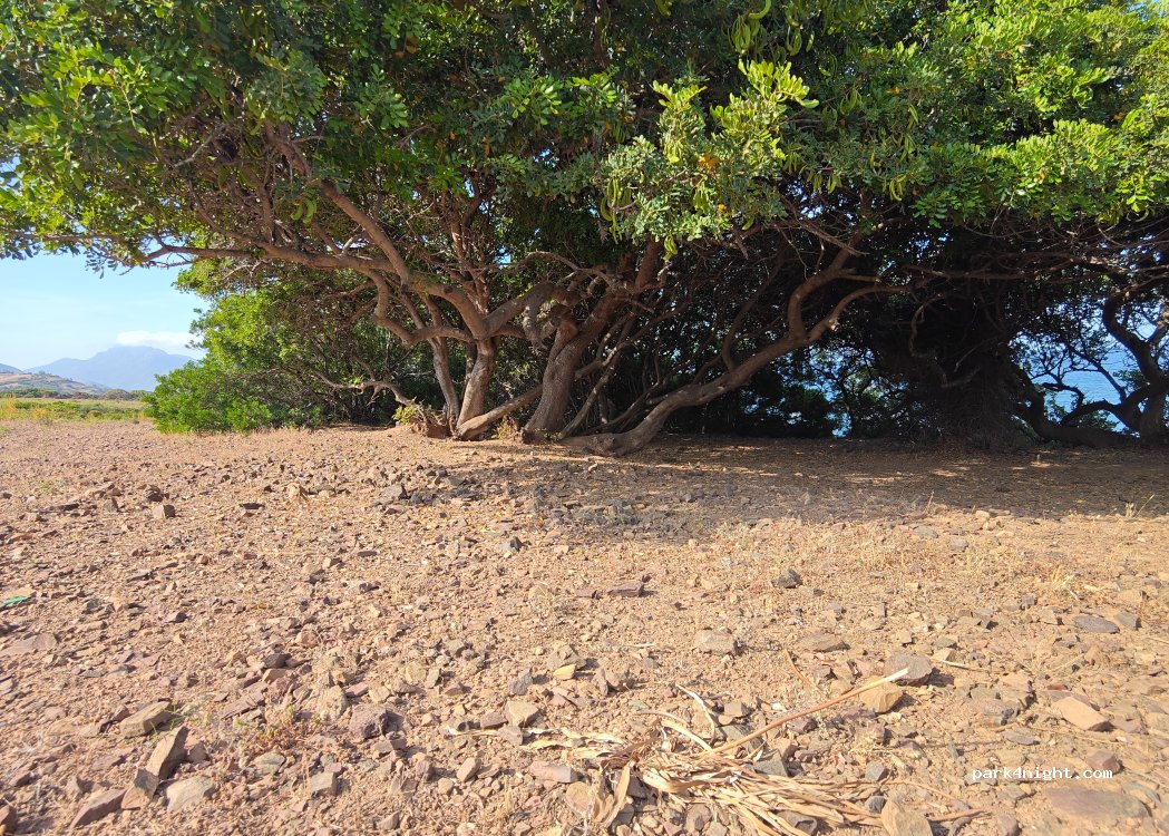 (08045) Lanusei - Unnamed road — foto