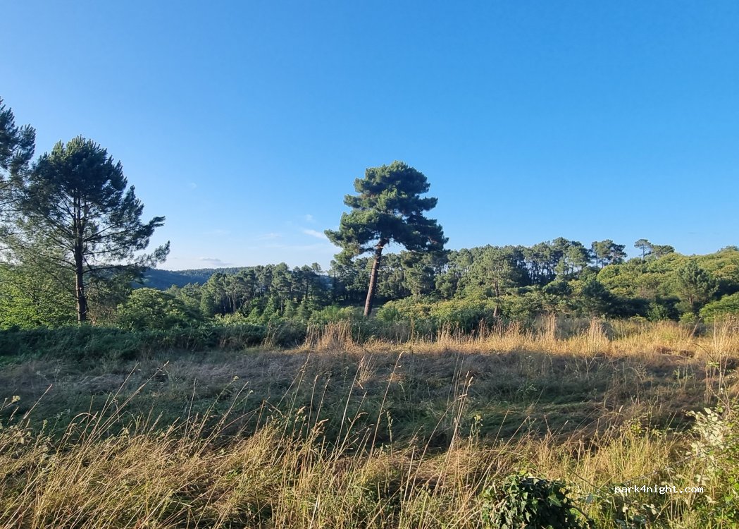 (24200) Saint-André-d'Allas - — foto 2