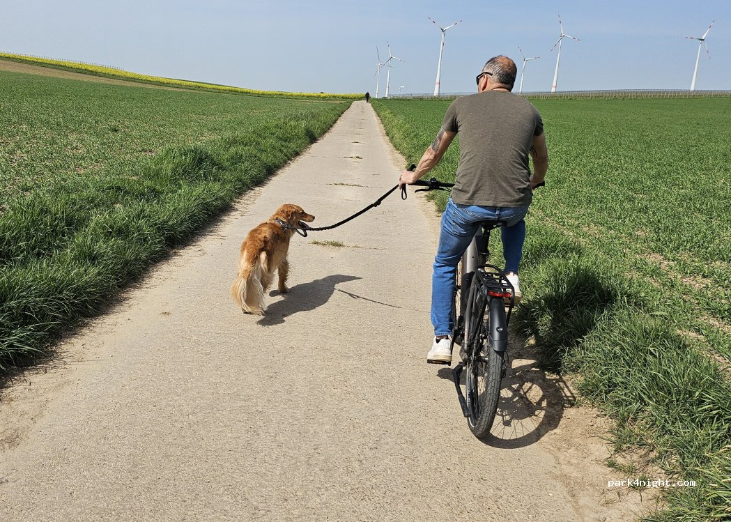 Stellplatz Weingut Thörle|Kreuzhof — foto 3