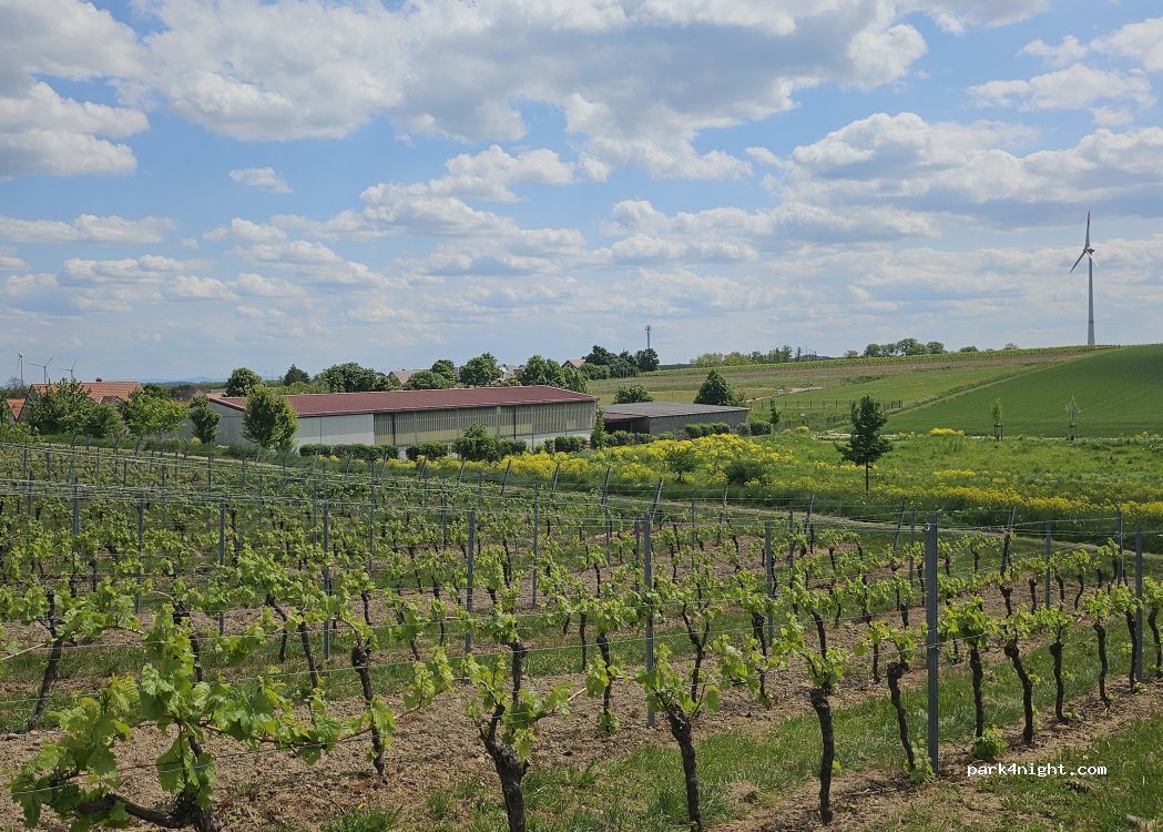 Stellplatz Weingut Thörle|Kreuzhof — foto 4