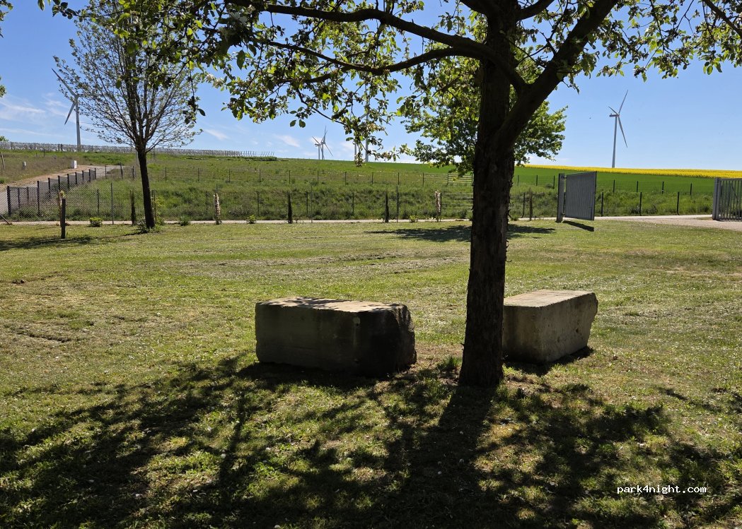Stellplatz Weingut Thörle|Kreuzhof — foto 5