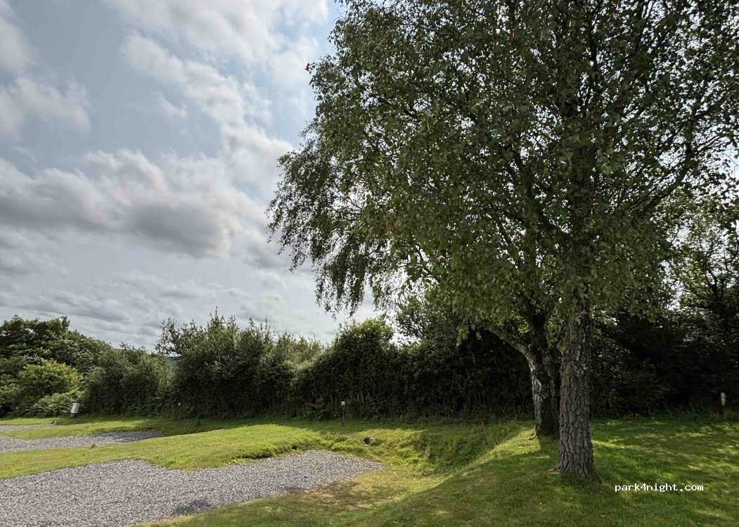 Moor Wood Campsite — foto 3