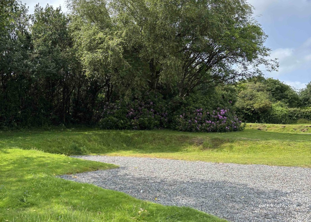 Moor Wood Campsite — foto 4
