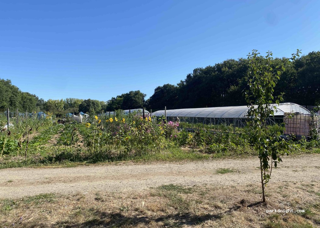 Les Légumes du Champ — foto 4