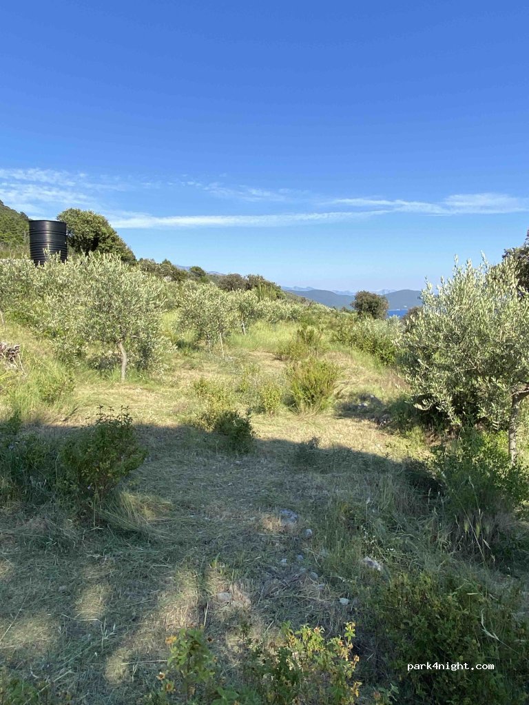 () Merdari - — foto 4