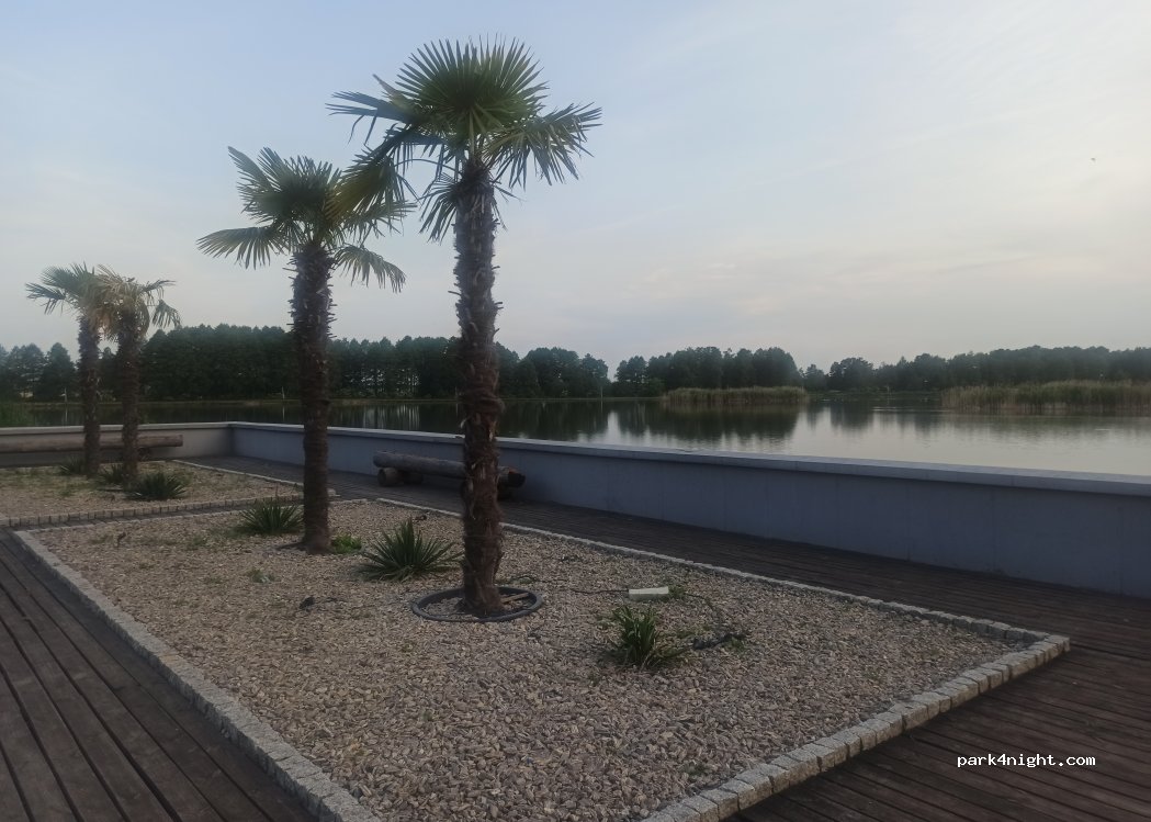 (97-318) Żeromin - Unnamed Road — foto 2