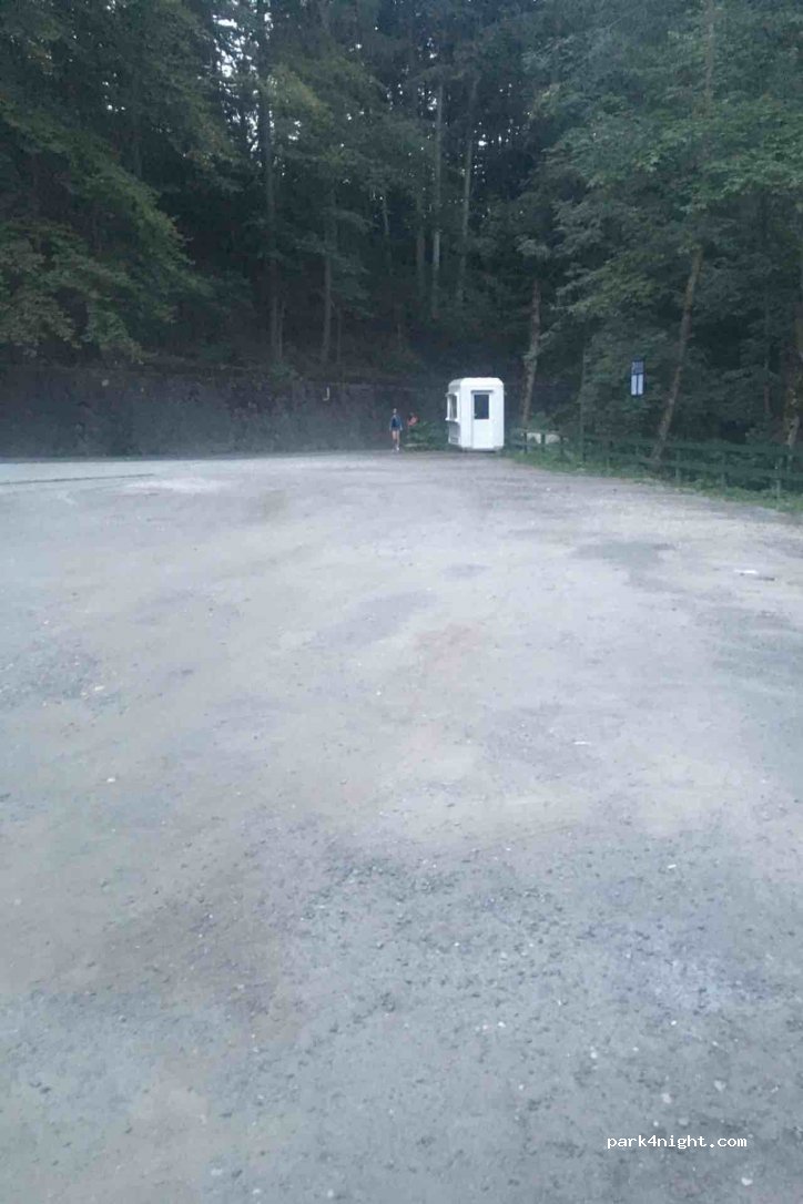 (106100) Sinaia - Aleea Peleșului — foto