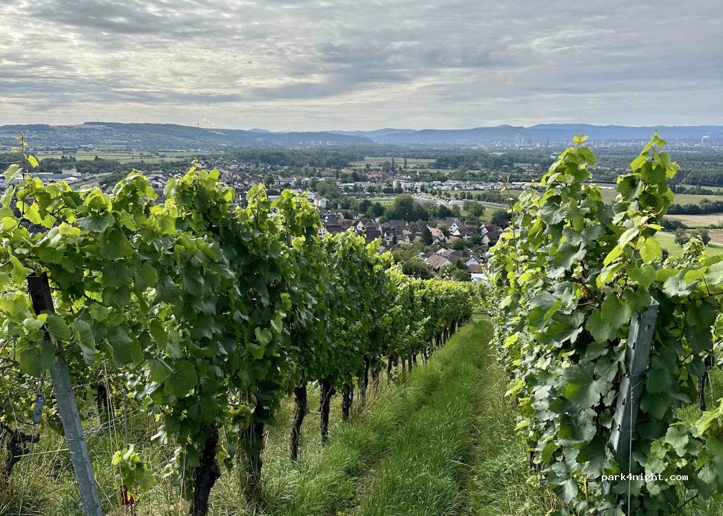 Weingut Huck- Wagner — foto