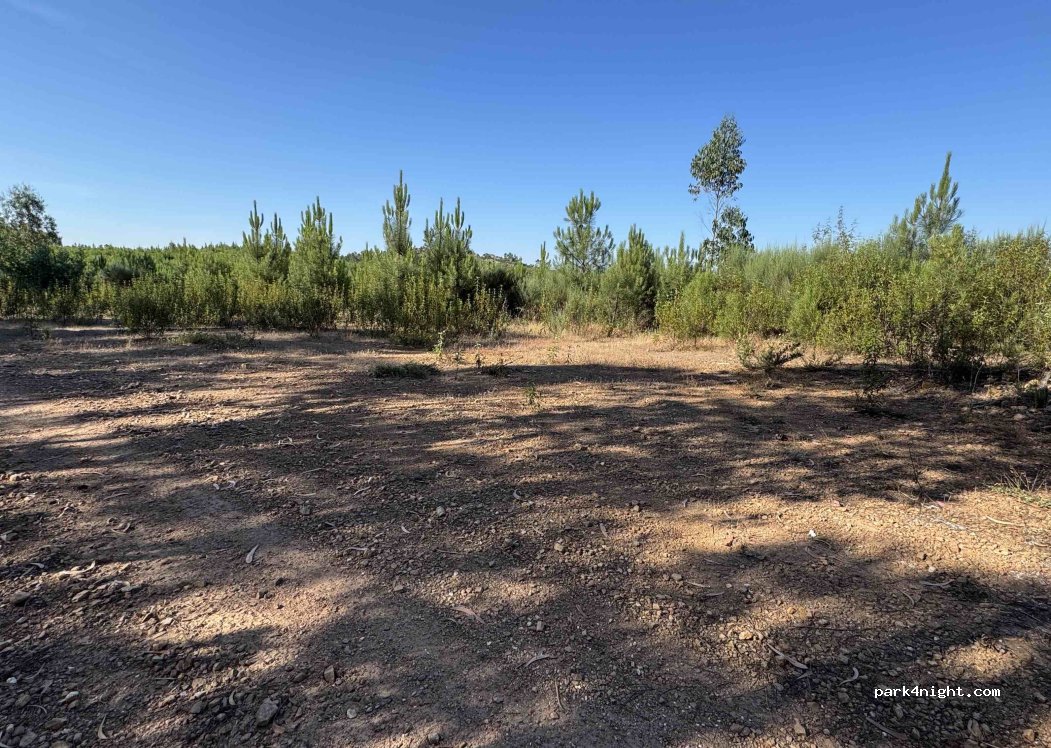 (6030) Vila Velha de Ródão - Unnamed Road — foto 2