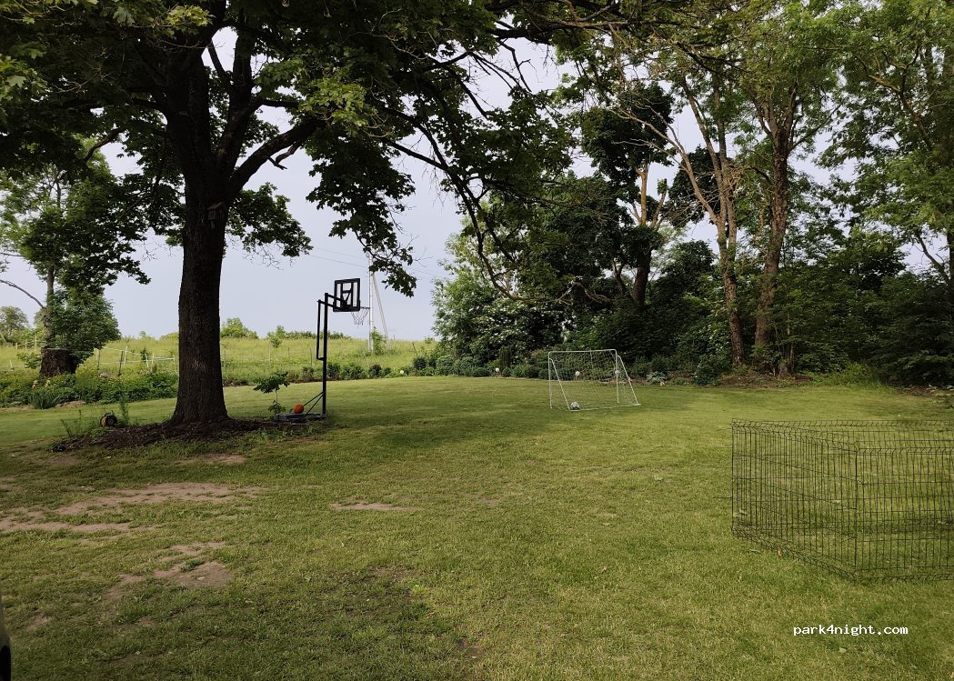 Dvilys vineyard and garden — foto