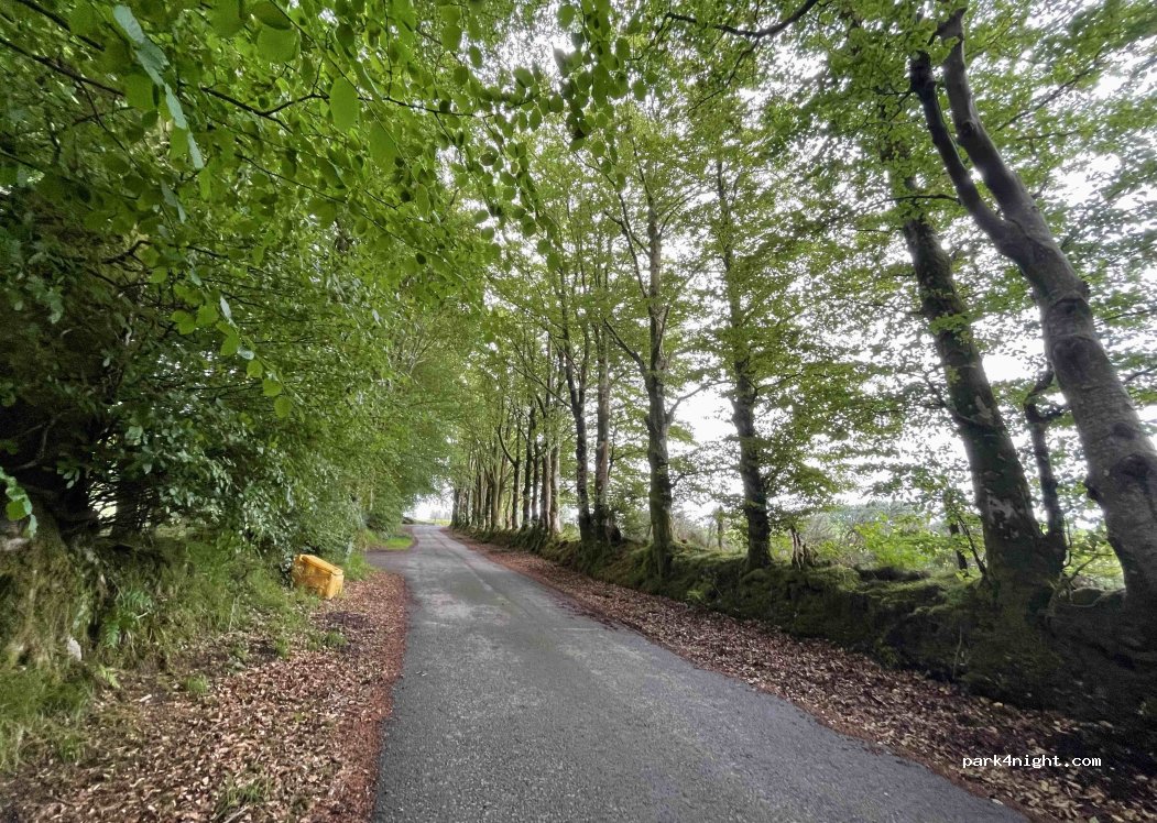 (SA48 8JA) Lampeter - Unnamed road — foto 2