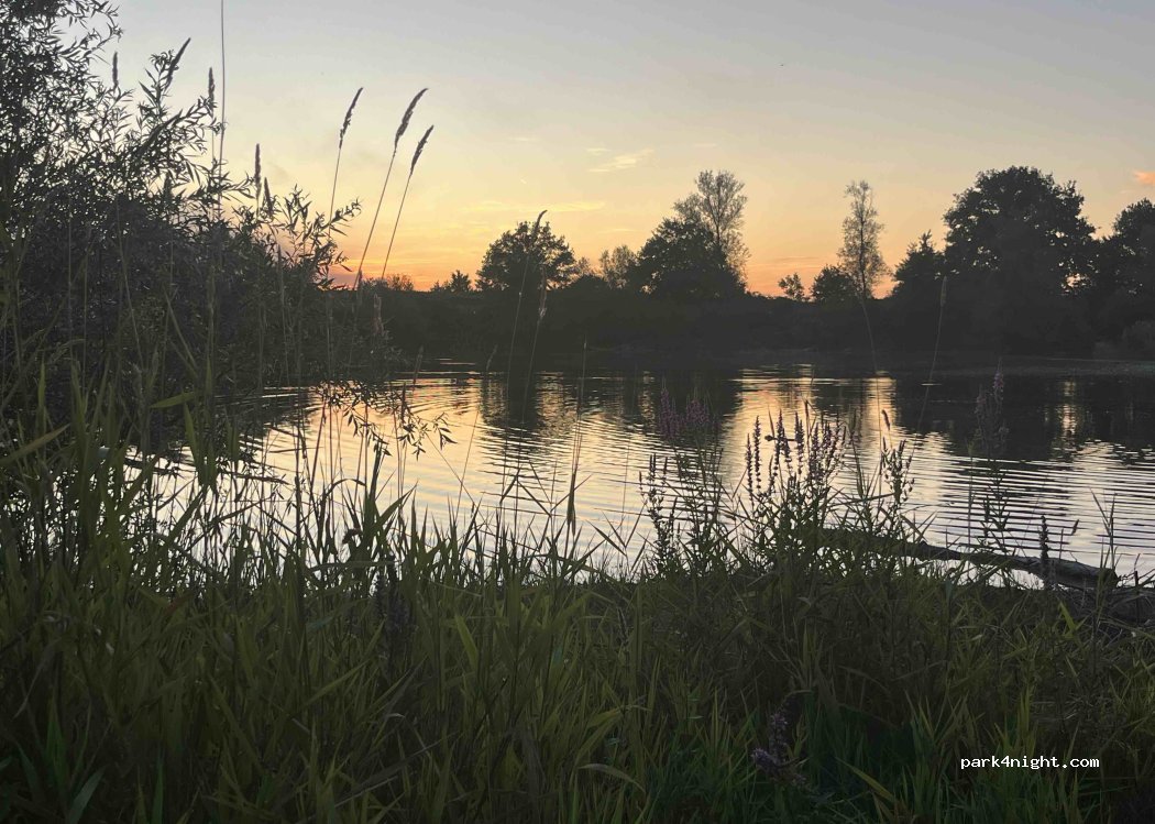 (77966) Kappel-Grafenhausen - — foto 4