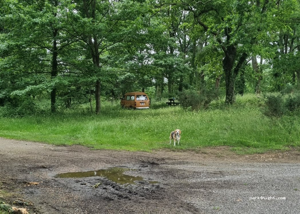 (65150) Saint-Laurent-de-Neste - 1 Chemin de la Croix Neuve — foto 2