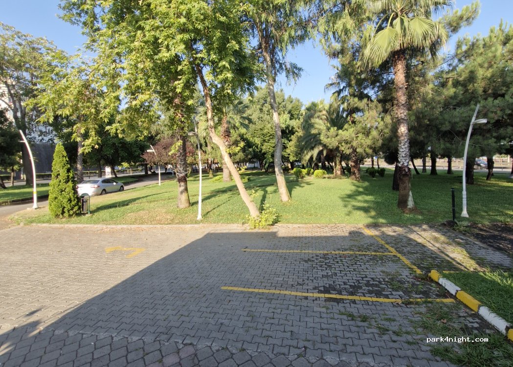 (61030) Ortahisar - 26 Balıkçılar Sokak — foto 3