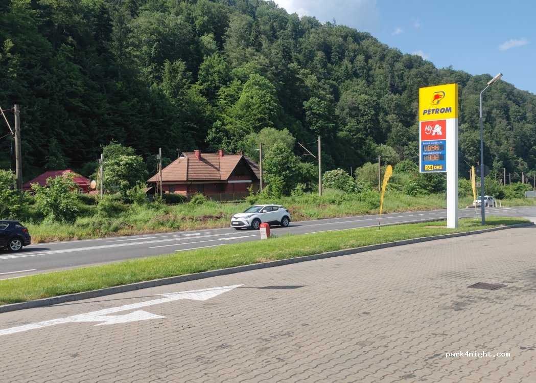 (505302) Timișu de Jos - E60 — foto 2
