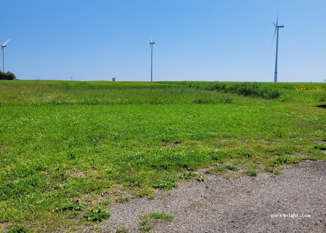 (08141) Reinsdorf - Hof 46 — foto 2