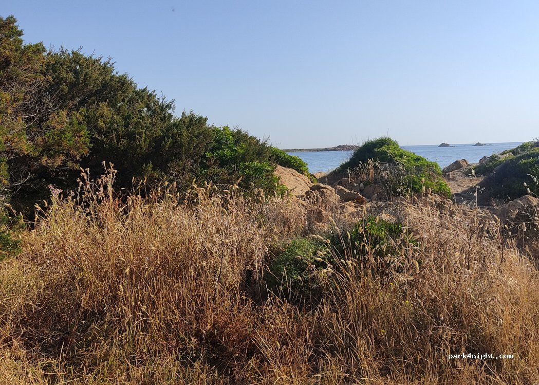 (08029) Capo Comino - 19 Strada del Faro — foto