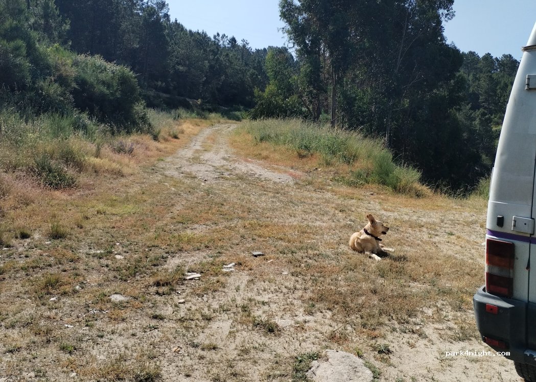 (3600) Castro Daire - — foto 4